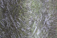 Wallbank fibreglass roof work